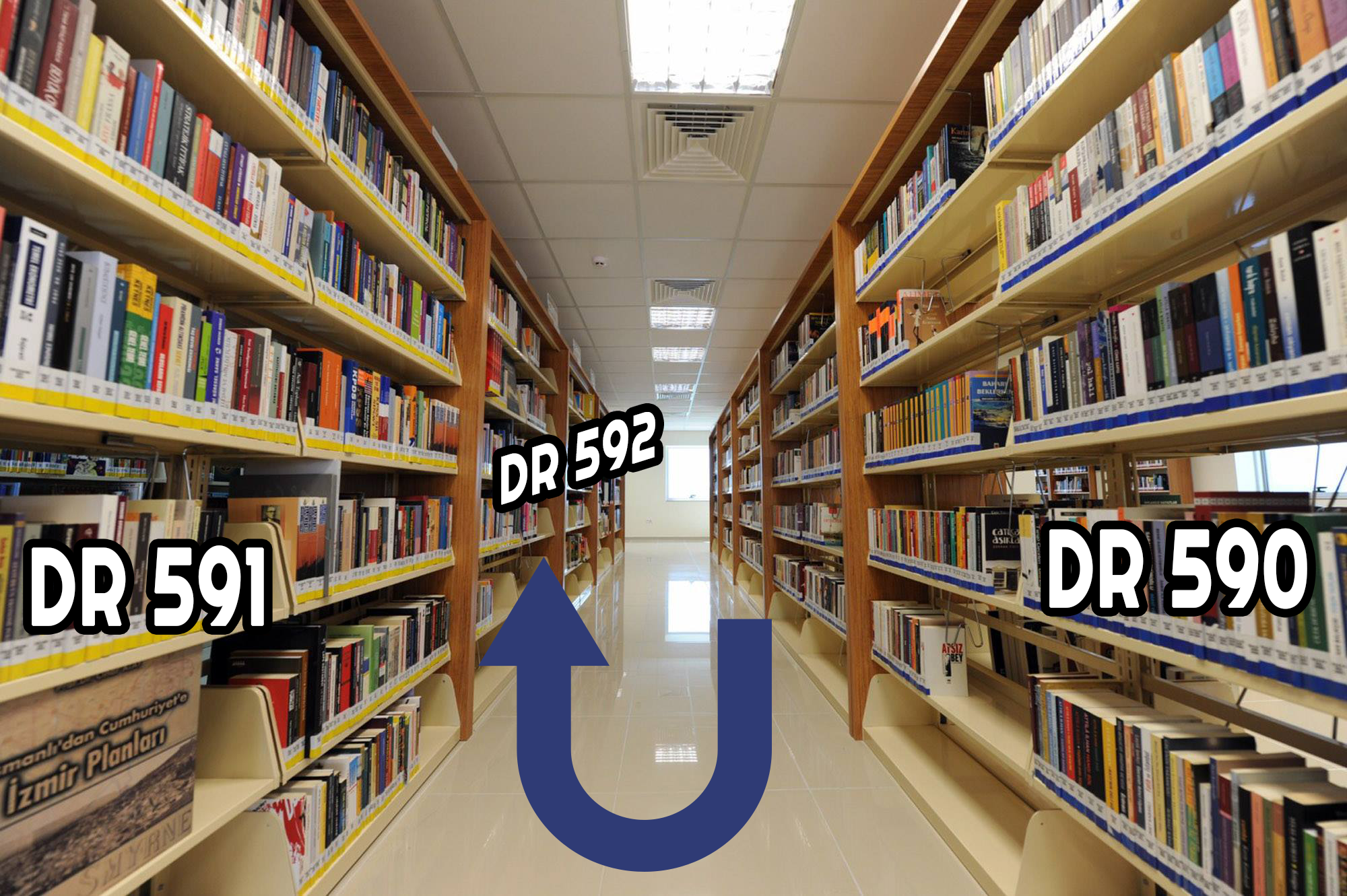 Merkez Kütüphanede Raf Sistemi Düzeni Nasıldır?