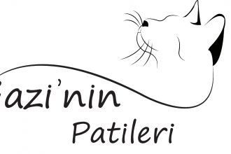 Gazi’nin Patileri Topluluğu