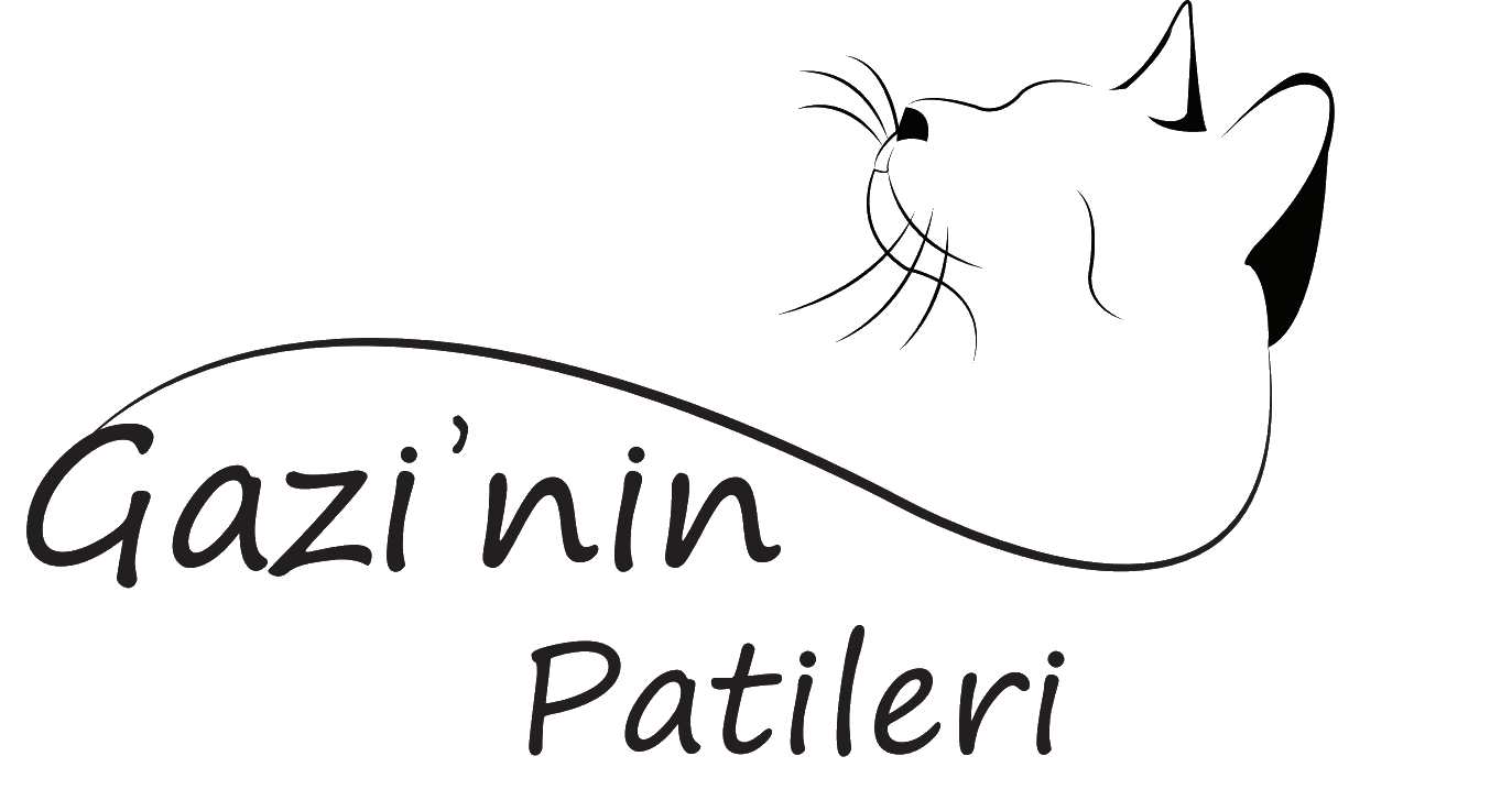 Gazi’nin Patileri Topluluğu